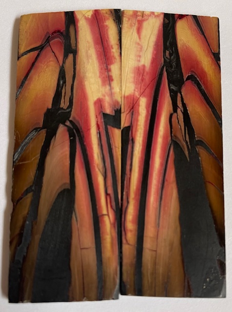 Parallel cut mammoth scales         3-5/8 X 1-3/16 X 1/8