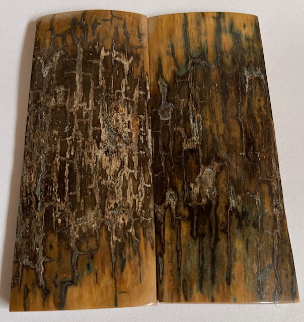  MAMMOTH IVORY SCALES            3-11/16 X 1-1/2 X 7/32