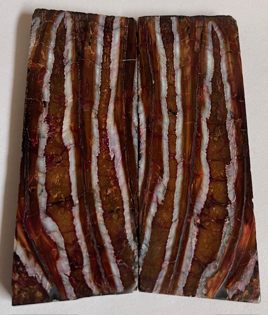 MAMMOTH TOOTH                   3-3/8 X 1-1/4 X 1/4