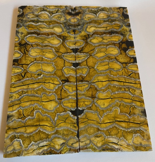 MAMMOTH TOOTH                   4-1/4 X 1-5/16 X 1/8