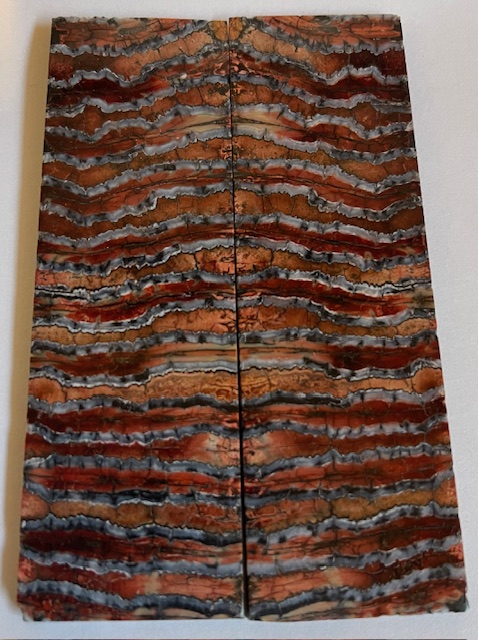 MAMMOTH TOOTH                   3-15/16 X 1-1/4 X 1/8