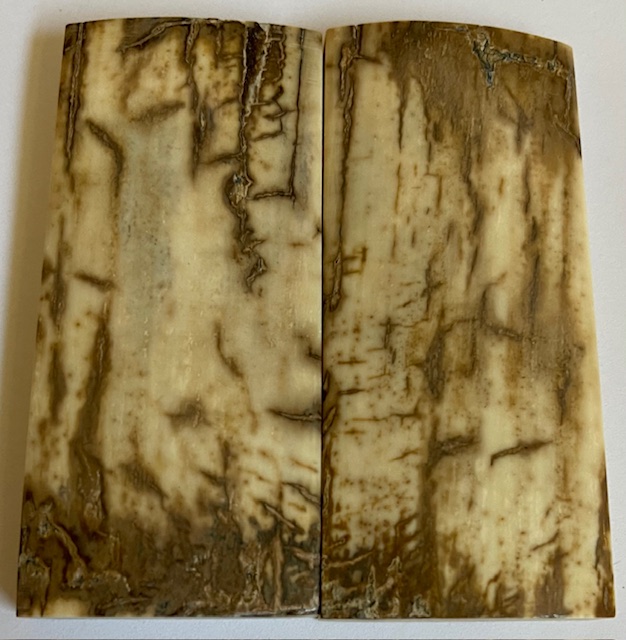  MAMMOTH IVORY SCALES             3-1/8 X 1-3/8 X 5/16