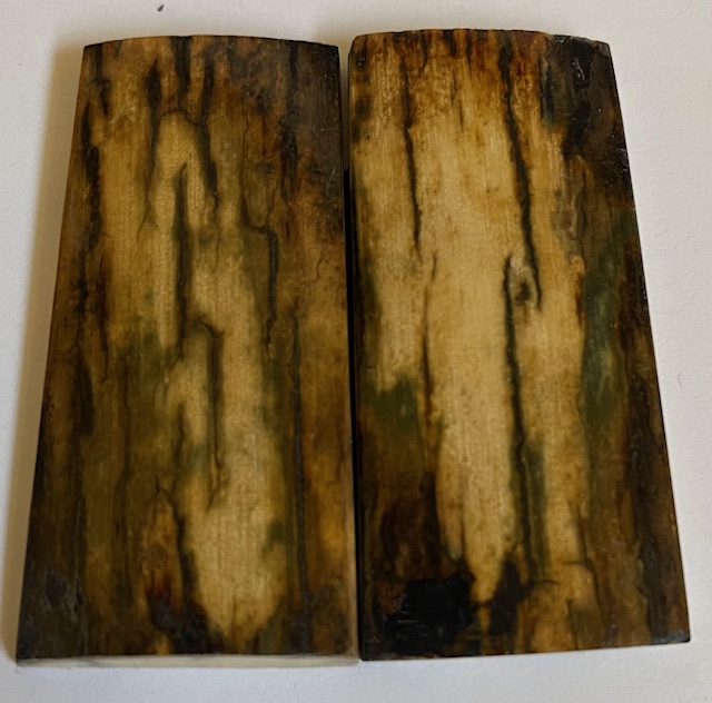  MAMMOTH IVORY SCALES             1-9/16 X 1-1/8 X 3/16