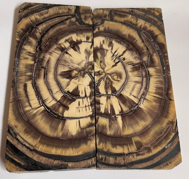 END GRAIN CUT MAMMOTH IVORY             4-9/16 X 2-1/16 X 1/4