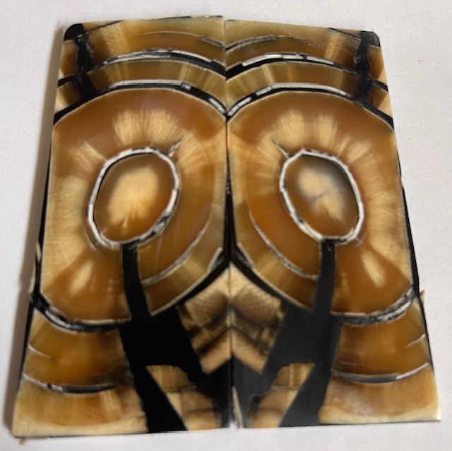 END GRAIN CUT MAMMOTH IVORY          3-1/8 X 1-1/4 X 1/8