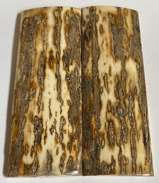  MAMMOTH IVORY SCALES     4-1/4 X 1-1/2 X 3/16