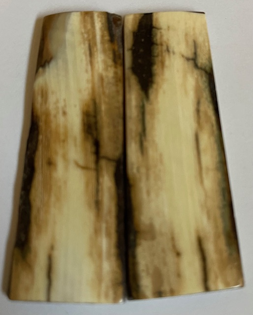  MAMMOTH IVORY SCALES            2-11/16 X 7/8 X 1/8
