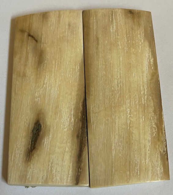  MAMMOTH IVORY SCALES          3-1/8 X 1-5/16 X 3/16