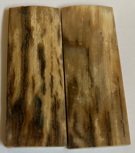  MAMMOTH IVORY SCALES            3 X 1-1/8 X 5/32