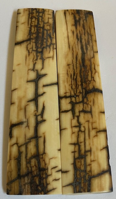  MAMMOTH IVORY SCALES           3-13/16 X 3/4 X 1/8