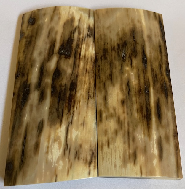  MAMMOTH IVORY SCALES          3-15/16 X 1-11/16 X 1/4