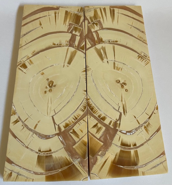 END GRAIN CUT MAMMOTH IVORY             5-1/2 X 2 X 1/4