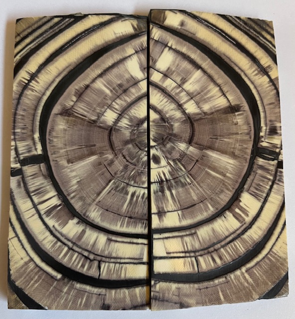 END GRAIN CUT MAMMOTH IVORY            4-5/16 X 2 X 1/4