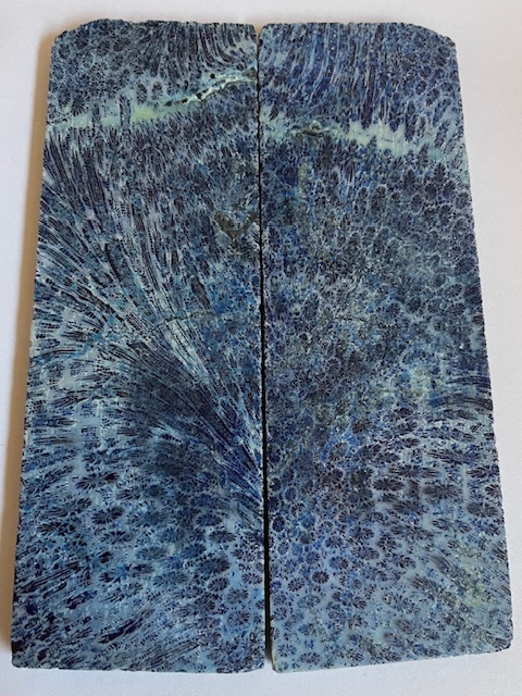 FOSSIL CORAL SCALES             5-3/8 X 1-3/4 X 3/16