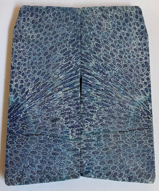 FOSSIL CORAL SCALES            4-11/16 X 1-3/4 X 5/16