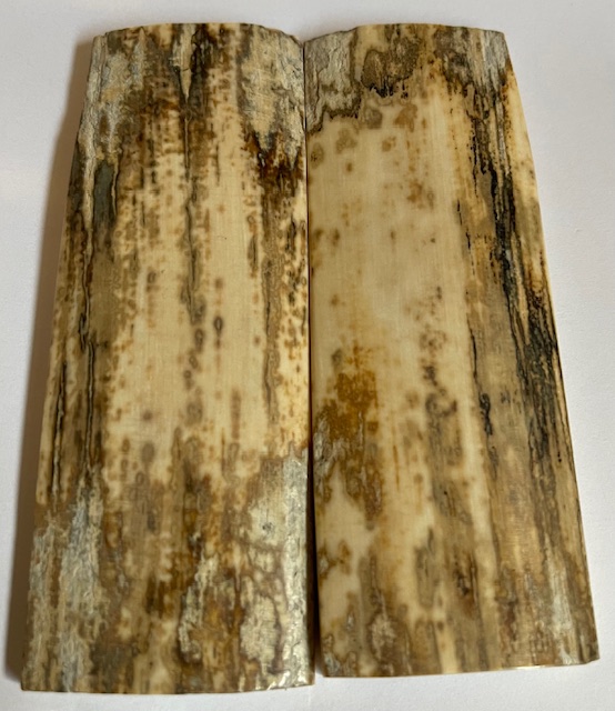  MAMMOTH IVORY SCALES          3-15/16 X 1-3/8 X 3/16