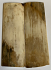  MAMMOTH IVORY SCALES          3-7/16 X 1-1/8 X 1/8