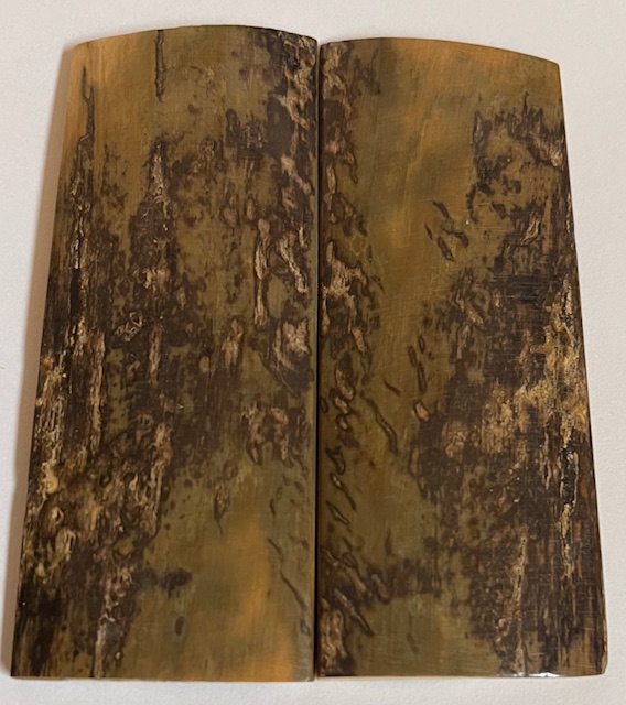  MAMMOTH IVORY SCALES            3-5/16 X 1-5/16 X 1/8