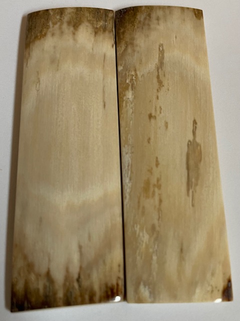  MAMMOTH IVORY SCALES          3-11/16 X 1-1/8 X 5/32