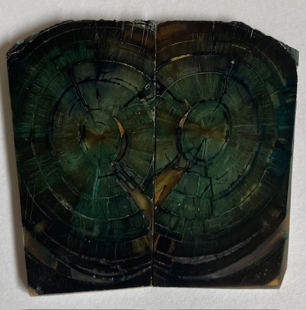 END GRAIN CUT MAMMOTH IVORY          2-1/8 X 1-1/16 to 1-1/8 X 1/8