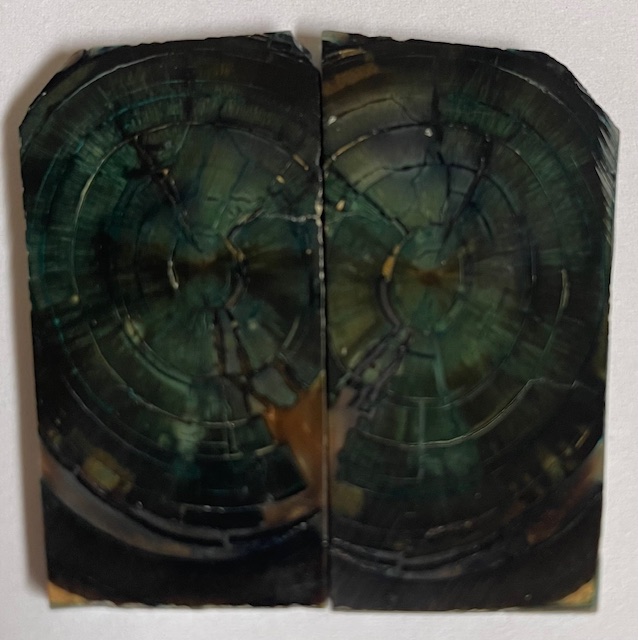 END GRAIN CUT MAMMOTH IVORY        2-1/4 X 1 to 1-1/16 X 1/8