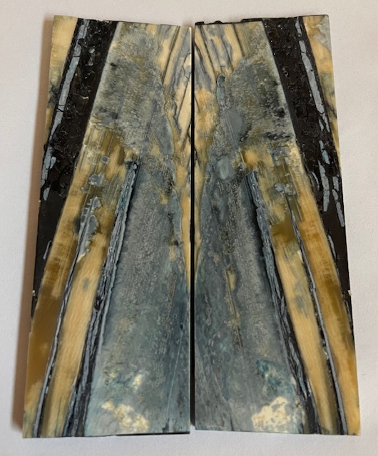 Parallel cut mammoth scales        3-13/16 X 1-5/16 X 1/8