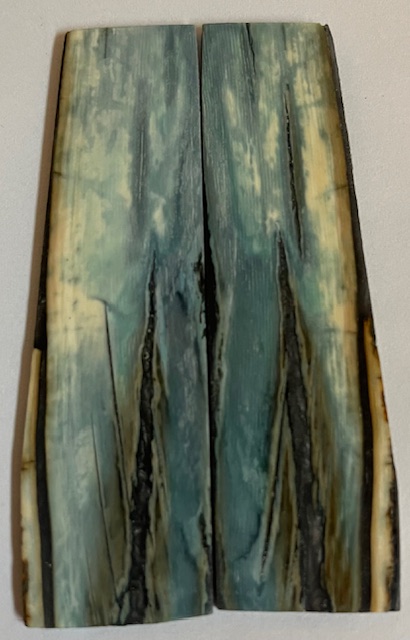 Parallel cut mammoth scales     3-7/16 X 13/16 X 1/16