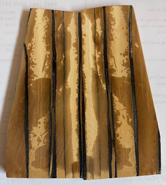 Parallel cut mammoth scales       3-1/2 X 1-1/8 to 1-3/8 X 7/32