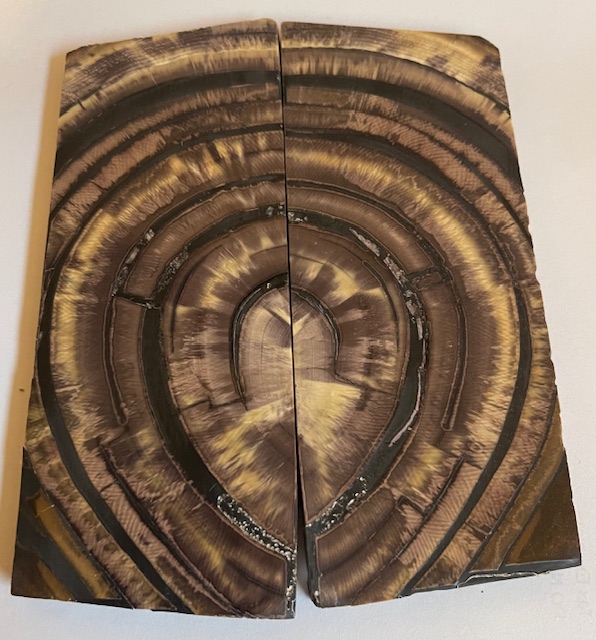 END GRAIN CUT MAMMOTH IVORY       4-1/16 X 1-5/8 X 3/16     