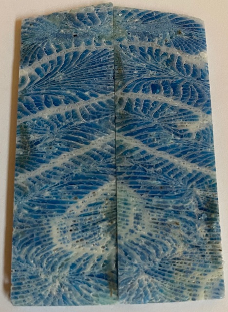 FOSSIL CORAL SCALES           3-5/16 X 1 X 1/8