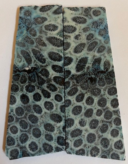 FOSSIL CORAL SCALES       3-3/4 X 1-1/16 X 1/8