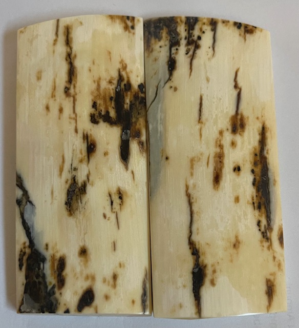  MAMMOTH IVORY SCALES          3-1/2 tapers X 1-3/8 X 1/4