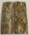  MAMMOTH IVORY SCALES          3-5/8 X 1-3/16 X 1/8