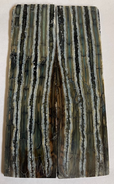 MAMMOTH TOOTH          4-7/16 X 1-1/8 X 1/16