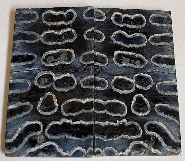 MAMMOTH TOOTH          3 X 1-5/8 X 1/8