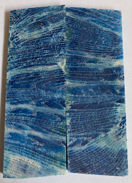 FOSSIL CORAL SCALES             4-1/16 X 1-3/8 X 3/16
