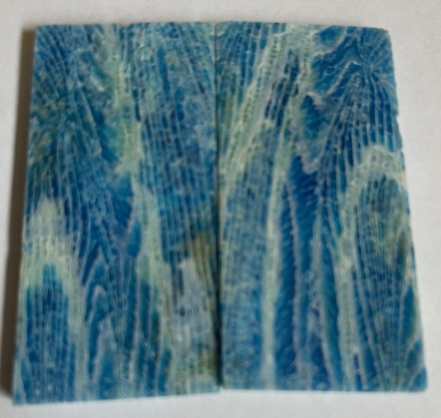 FOSSIL CORAL SCALES          2-1/2 X 1-1/4 X 1/8