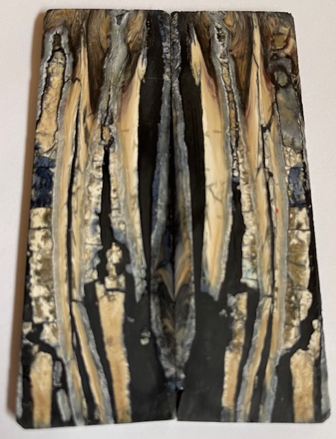 MAMMOTH TOOTH          3-11/16 X 1-3/16 X 1/8