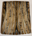 MAMMOTH TOOTH          2-15/16 X 1-3/16 X 1/8