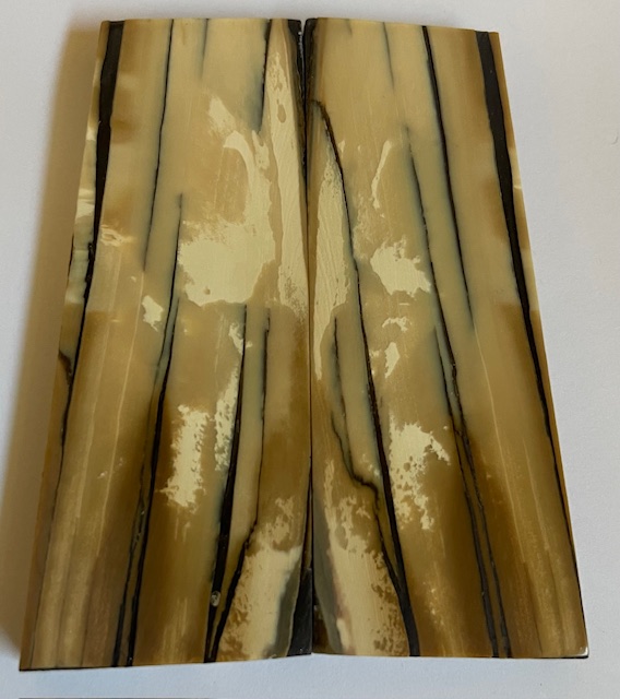 Parallel cut mammoth scales         3-5/8 X 1-3/16 X 1/4