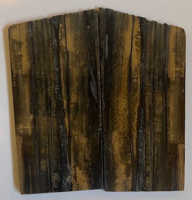 Parallel cut mammoth scales        3-1/2 X 1-1/2 to 1-5/8 X 1/8