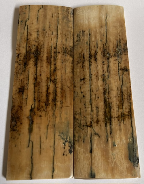  MAMMOTH IVORY SCALES         4 X 1-1/4 X 5/32