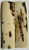  MAMMOTH IVORY SCALES       3-1/2 X 7/8 X 5/32