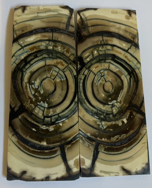 END GRAIN CUT MAMMOTH IVORY      3-5/8 X 1-3/8 X 1/8