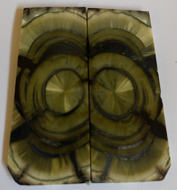 END GRAIN CUT MAMMOTH IVORY   2-9/16 X 1 X 1/8