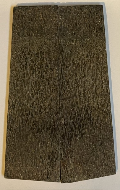 MAMMOTH BONE           4-1/8 X 1-1/8 X 1/8