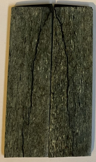 MAMMOTH BONE         3-1/4 X 7/8 X 1/8