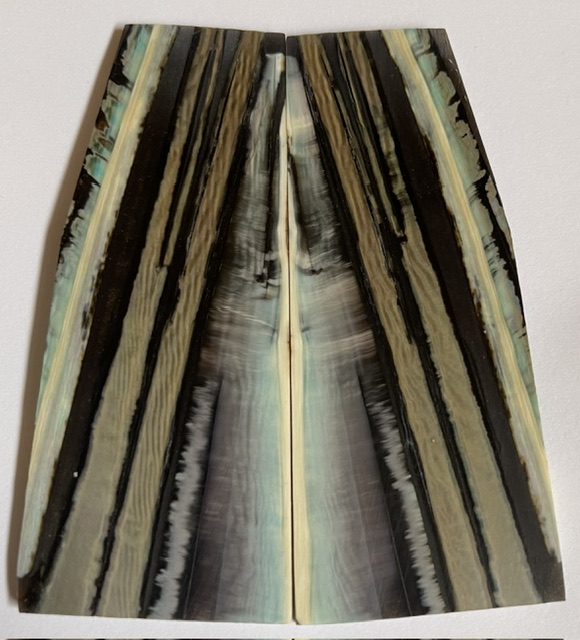 Parallel cut mammoth scales        3-9/16 X 1-1/8 to 1-5/16 X 1/8