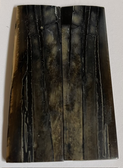 Parallel cut mammoth scales     3-3/16 X 15/16 X 1/8