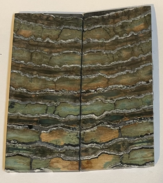 MAMMOTH TOOTH       3-5/16 X 1-7/16 X 1/16